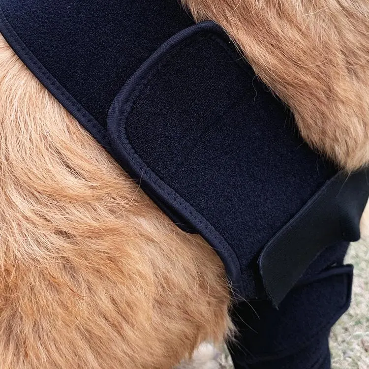 Knee Sleeve Best Knee Brace for Dogs Knee Support